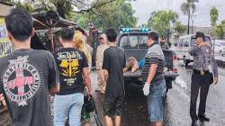4 Orang Terkapar Tersambar Petir di Cirebon, 2 Tewas dan 2 Luka Berat