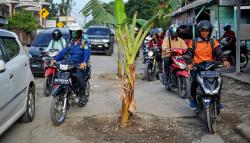 Jalan Rusak di Jambi Ditanami Pohon Pisang