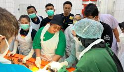  Hasil Forensik 9 Jenazah Korban Pembunuhan Dukun Pengganda Uang: 6 Pria 3 Perempuan 