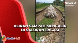 Detik-Detik Aliran Sampah Sepanjang 1 Km Lewati Saluran Irigasi di Polewali Mandar<