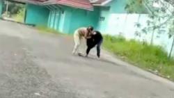 Geger! Video 2 Remaja Perempuan di Jambi Baku Hantam hingga Teriak Kesakitan 