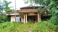 Menelusuri Rumah Suzanna di Semarang, Bangunan Terbengkalai Diselimuti Semak Belukar<