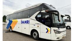 Damri Buka Rute Baru dari Lampung di Lebaran 2023, Ini Daftar Kota Tujuan