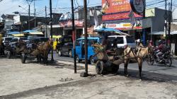 Kasihan Kusir Delman Padalarang KBB, Aktivitas Dibatasi tapi Tidak Dapat Kompensasi<
