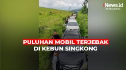Viral, Puluhan Mobil Terjebak di Kebun Singkong Sukabumi<
