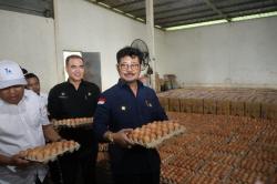 Pantau Persediaan Telur Ayam di Sulsel, Mentan Pastikan Kebutuhan Lebaran Aman
