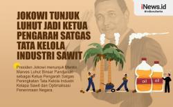 Infografis Jokowi Tunjuk Luhut Jadi Ketua Pengarah Satgas Tata Kelola Industri Sawit