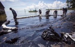 Keindahan Pantai Melayu Batam Tertutup Limbah Minyak Hitam