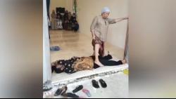 Kakak Adik Viral Ditempeleng Sang Ibu saat Pilkades di Bangkalan Akhirnya Menang 