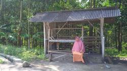  Singgah ke Destinasi Dadakan Warung Lotek Lilis, Dulunya Tempat Anak Sekolah Bolos  