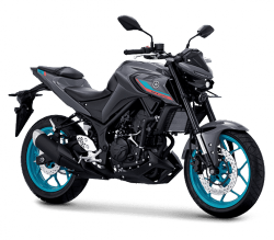 Motor Yamaha Kembali Kena Recall, Kali Ini R25 dan MT-25