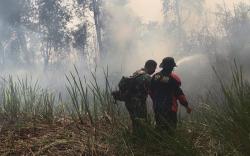 BPBD Prediksi Hotspot di Sumsel Terus Meningkat<