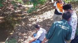 Ribuan Ikan di Sungai Aceh Timur Mati Mendadak, Diduga Air Tercemar