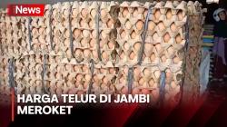 Harga Telur di Jambi Tembus Rp52 Ribu Per Papan<