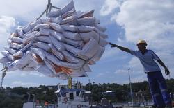 Bulog Ungkap Realisasi Impor Beras Baru 500.000 Ton dari Target 2 Juta