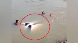 Mobil Terjun ke Laut di Bangkalan, Sopir Masih Remaja Salah Injak Gas