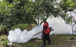 Kasus DBD di Ciamis Capai 100 Lebih, 2 Orang Meninggal