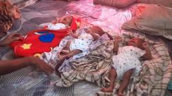 Heboh 3 Bayi Kembar Lahir di Alor NTT, Salah Satunya dengan Kelamin Sudah Disunat