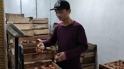 Pasokan Berkurang, Harga Telur di Batang Terus Melonjak