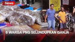 Selundupkan Ganja, 6 Warga PNG Berhasil Ditangkap Polisi