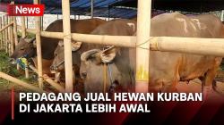 Penjualan Hewan Kurban Mulai Marak di Jakarta, Pedagang Memilih Berjualan Lebih Awal