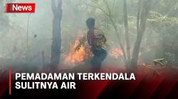 Kemarau! Api Lalap Lahan Seluas 3 Hektare di Katingan Hilir