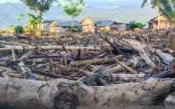 Banjir Bandang Terjang 14 Desa di Parigi Moutong, 1 Tewas, Puluhan Rumah Rusak