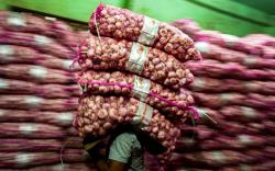 Pasokan Menipis, Segini Harga Bawang Putih di Pasar Induk Kramat Jati