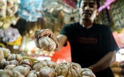 Pengamat Minta Kejagung Investigasi Dugaan Permainan Kuota Impor Bawang Putih di Kemendag