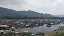 Musim Kemarau, Kebutuhan Pakan Ikan di KJA Waduk Saguling KBB Dipastikan Naik