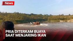 Diterkam Buaya saat Menjaring Ikan, Korban Ditemukan Tewas
