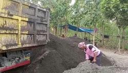 Melihat Aktivitas Depot Pasir di Pemalang, Tempat Buruh Bongkar Muat Meraup Rezeki