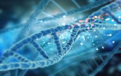 KALGen INNOLAB Luncurkan Pemeriksaan Sitogenetik untuk Deteksi Penyakit Bawaan
