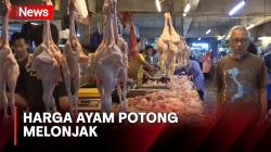 Harga Ayam Potong di Bandung Melonjak Jelang Idul Adha