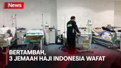 Jemaah Haji Indonesia yang Wafat di Arab Saudi Kini Mencapai 40 Orang
