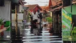 Ratusan Rumah di Kota Pekalongan Kembali Terendam Banjir Rob