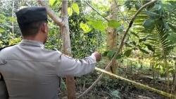 Makam Bayi Kembar Hasil Hubungan Gelap Dibongkar Polisi, Diduga Dibunuh Ayah Kandung