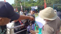 Waspada Penyakit PPR, Dinperpa Pekalongan: Hati-hati Jual Beli Hewan Kurban!