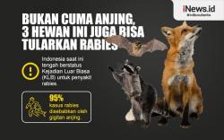 Infografis Bukan Hanya Anjing, Ini Hewan yang Bisa Tularkan Rabies