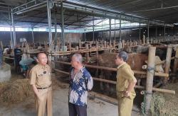 DKPP Bantul Minta Masyarakat Teliti Beli Hewan Kurban, Pastikan Ada SKKH <