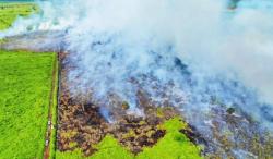 Kebakaran 23 Hektare Lahan Gambut di Rohul, Helikopter Water Bombing Dikerahkan