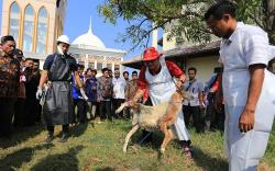 Latihan Menyembelih Hewan Kurban