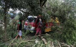 Pohon Beringin Tumbang Timpa Truk di Kota Ternate