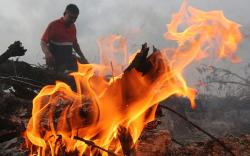 Karhutla di Nagan Raya, Petugas Temukan Satwa Mati Terpanggang