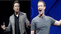 Pertarungan Musk-Zuckerberg Berpotensi Hasilkan Rp15 Triliun, Jadi Duel Terbesar dalam Sejarah