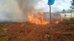 Penampakan Kebakaran Lahan Dekati Permukiman di Kalteng, Api Berkobar Lalap Semak Belukar