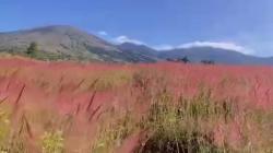 Bukit Tegal Malaka Garut, Pesona Padang Savana Manjakan Pecinta Alam