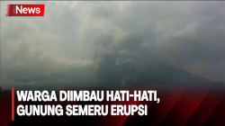 Gunung Semeru Erupsi, Awan Panas Meluncur ke Besuk Kobokan Lumajang 