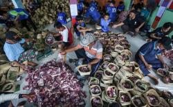 MTA Solo Sembelih 116 Ekor Sapi dan 840 Kambing