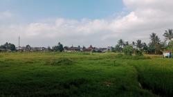 Alih Fugsi Lahan, Persawahan di Cicurug Sukabumi Terus Berkurang<